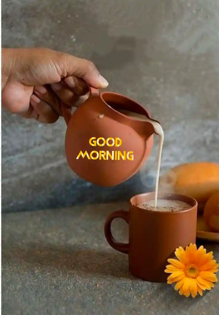 good-morning-images-for-whatsapp good-morning-images-for-whatsapp