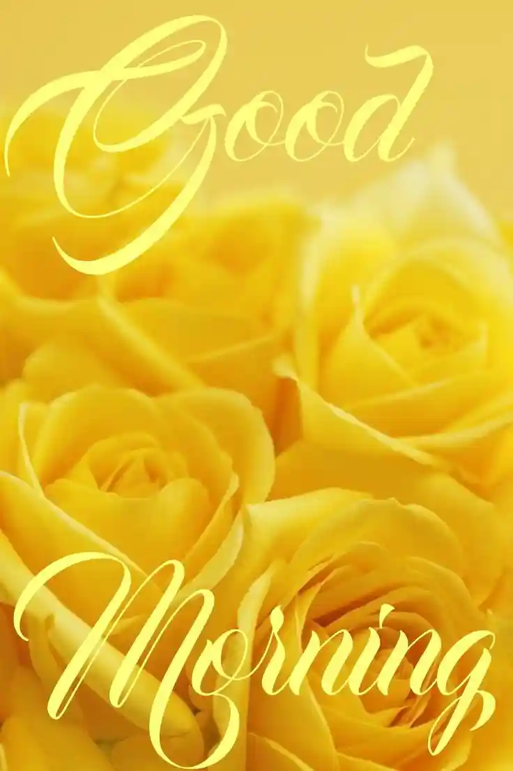 good-morning-images-for-whatsapp good-morning-images-for-whatsapp