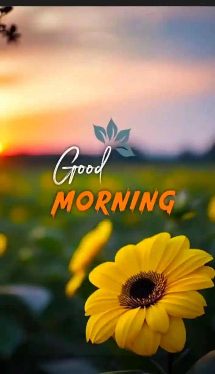 good-morning-images-for-whatsapp good-morning-images-for-whatsapp