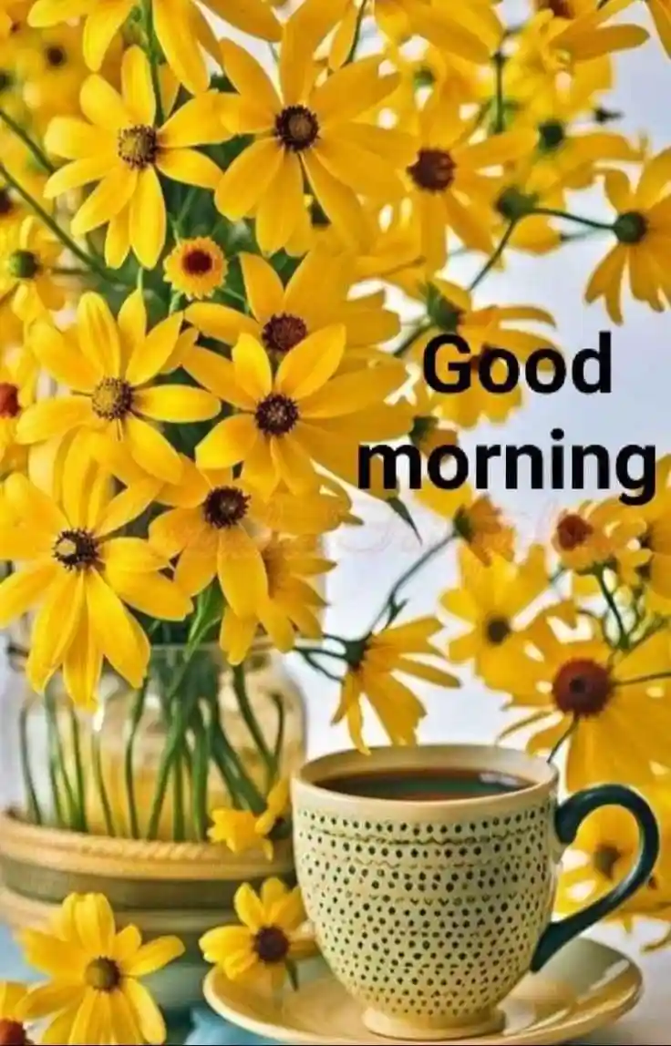 good-morning-love-images good-morning-love-images