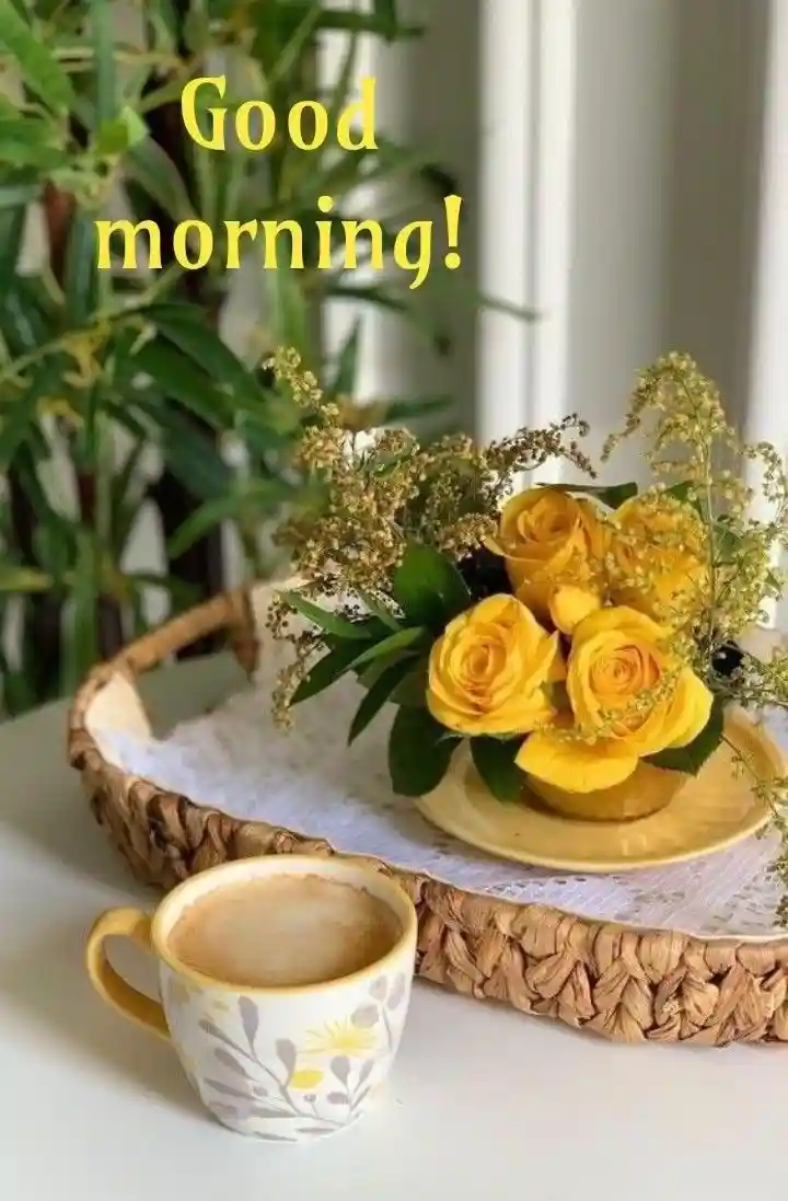 good-morning-photos good-morning-photos