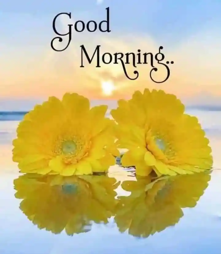 good-morning-pics good-morning-pics