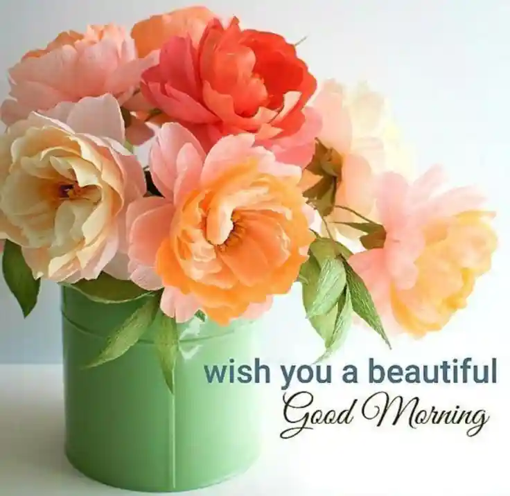 good-morning-pictures good-morning-pictures