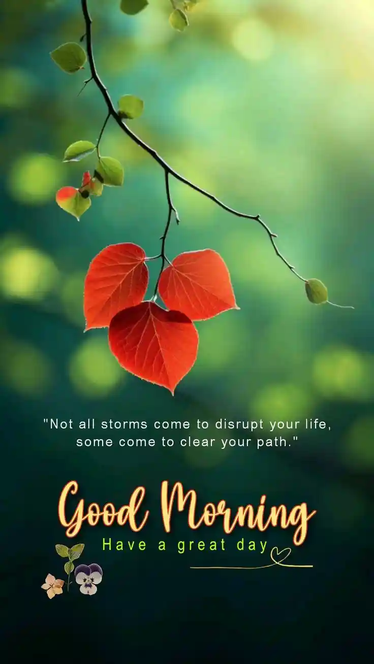 good-morning-pictures good-morning-pictures