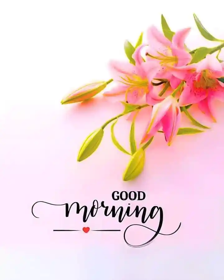 instagram-good-morning-images instagram-good-morning-images