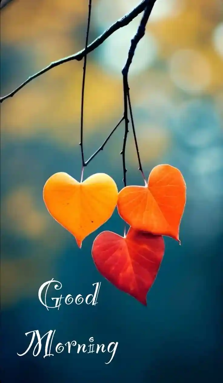 instagram-good-morning-images instagram-good-morning-images