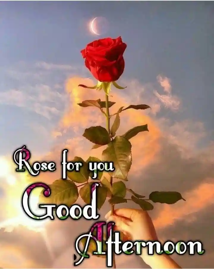 kiss-romantic-good-afternoon-images