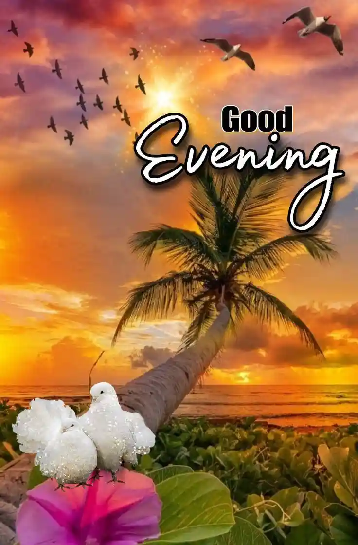 lovely-good-evening-images