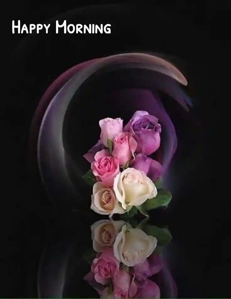 lovely-good-morning-images lovely-good-morning-images