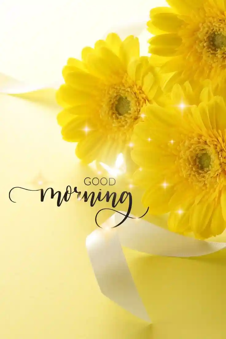 lovely-good-morning-images lovely-good-morning-images