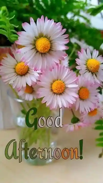 new-good-afternoon-images