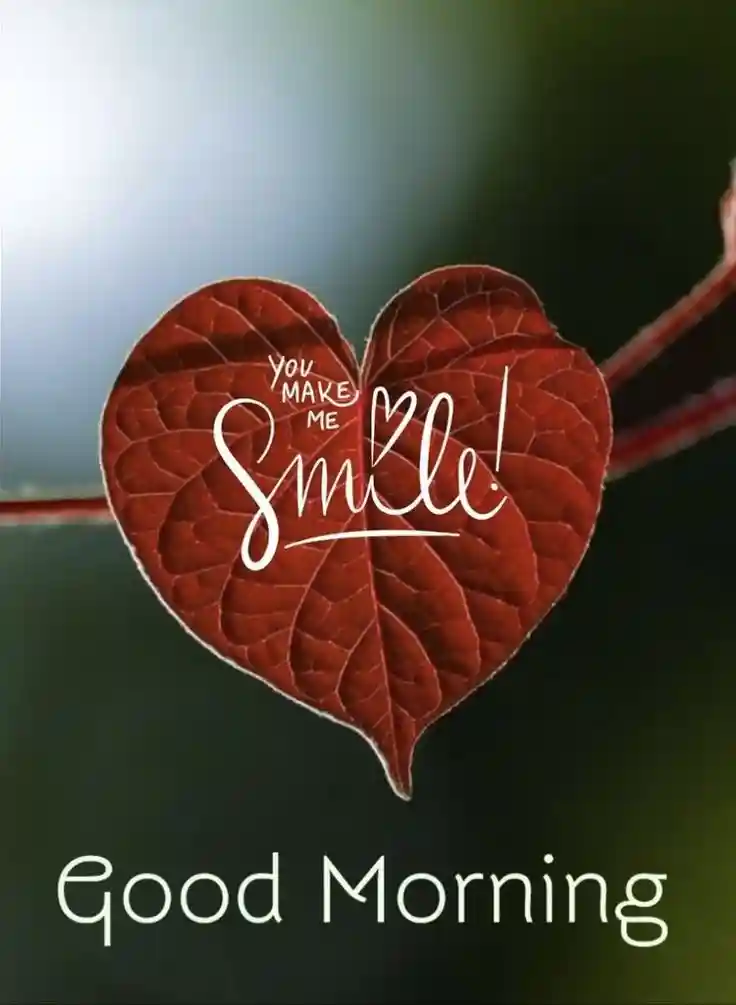 new-good-morning-images new-good-morning-images