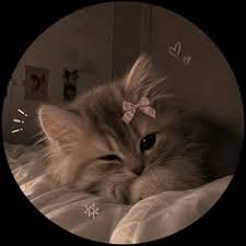 Unique Cute DP Aesthetic Cute DP