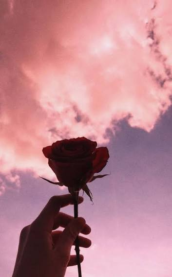 Cute DP Ideas Aesthetic Cute DP Ideas