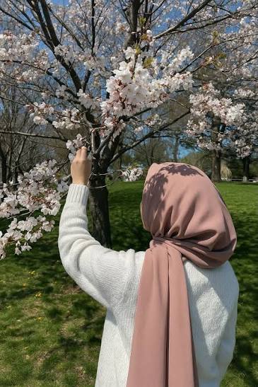 Aesthetic Hijab DP for Instagram