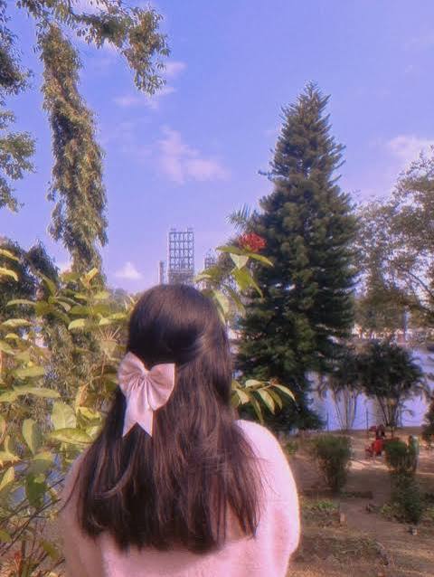 Aesthetic Nature DP for Girls
