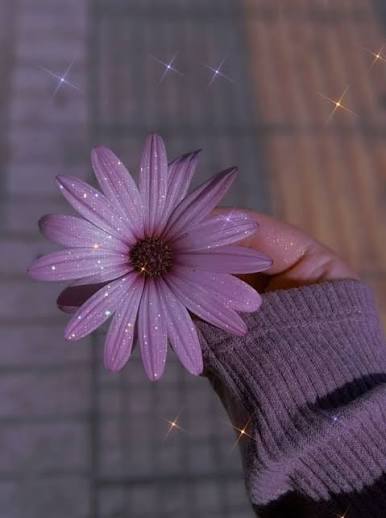 Aesthetic Nature DP for Girls
