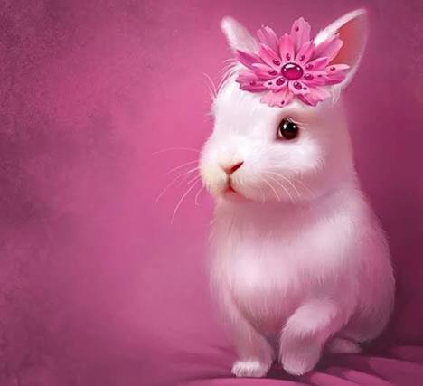 Instagram Cute DP Cute Animal DP