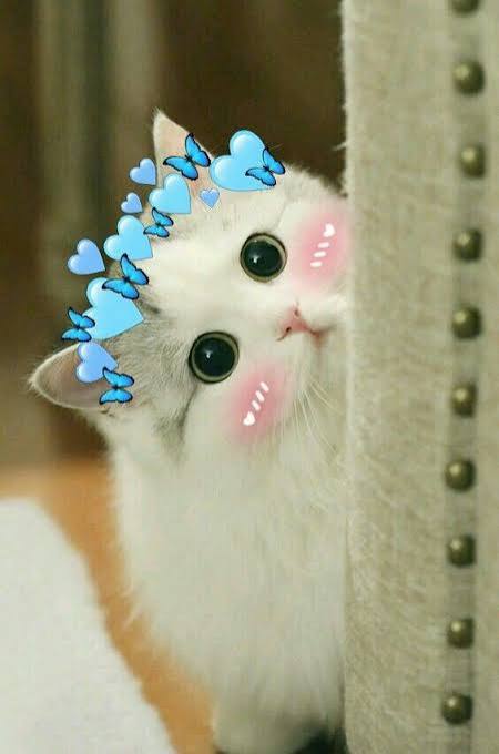 Cute DP Ideas Cute DP for Instagram