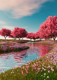 Cute Nature DP Ideas