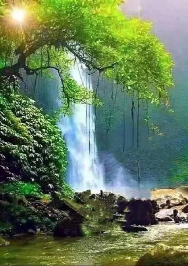 Cute Nature DP With Water
