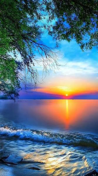 Cute Nature DP With Water
