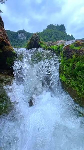 Cute Nature DP With Water
