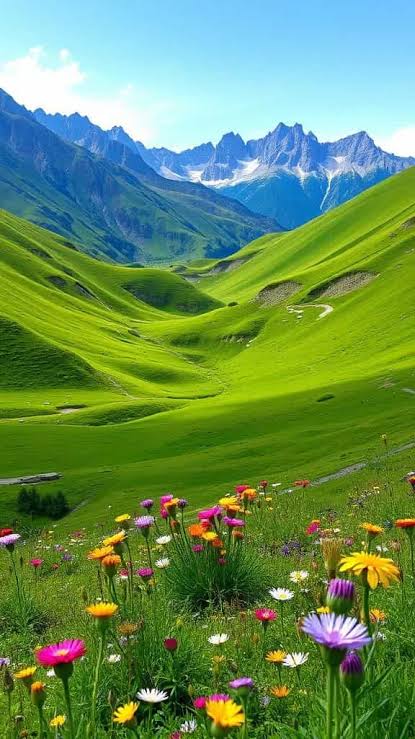 Cute Nature Insta DP