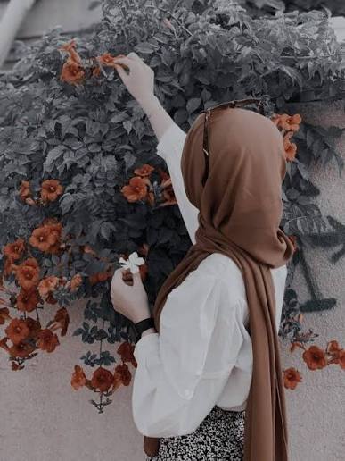 Muslim Hijab DP With an Elegant Feel