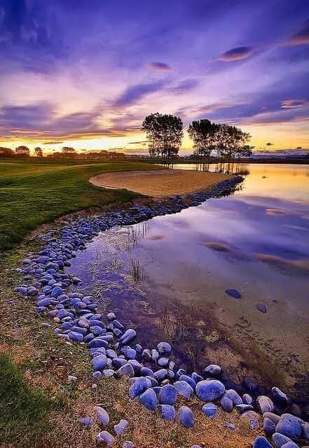 Simple Nature DP for Boys
